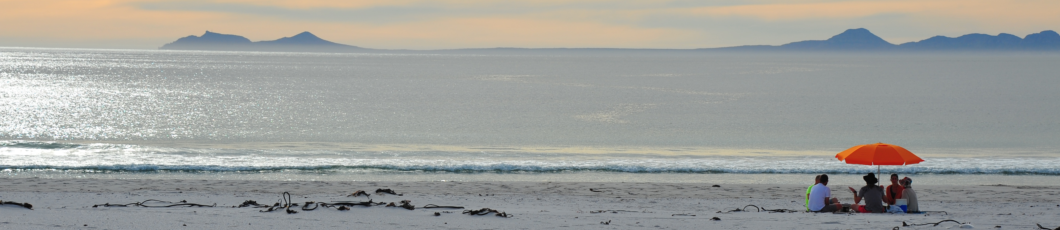Pringle Bay beach